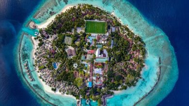 Photo of Современные апартаменты в Питере